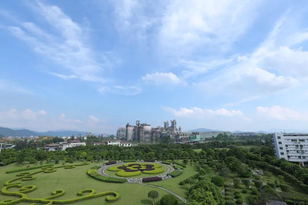 ladbrokes立博-公司官网