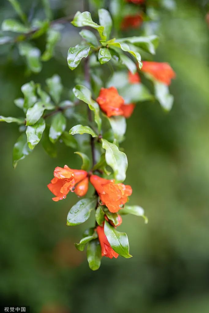 ladbrokes立博-公司官网