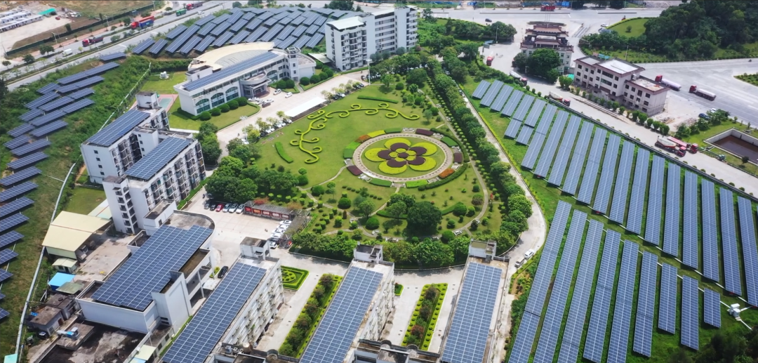 ladbrokes立博-公司官网