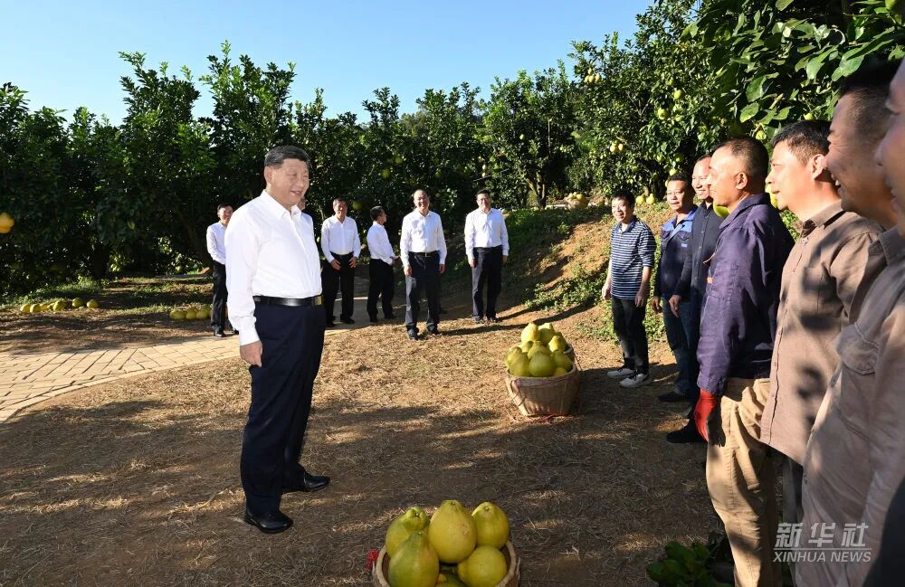 ladbrokes立博-公司官网